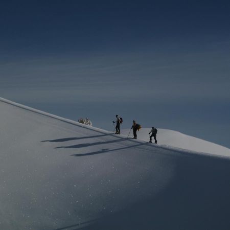 Rifugio Il Ginepro Dell'Etna Villa Лингуаглоса Екстериор снимка